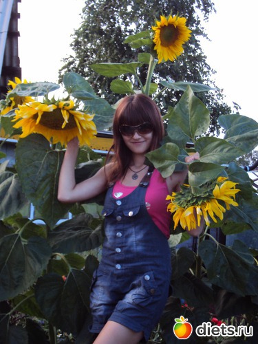 ��������� ����� ����������� �� ����, ������: �����