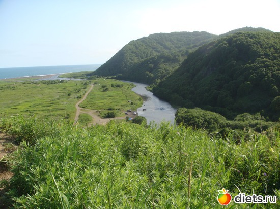 4 ����: � ������ �������� ������