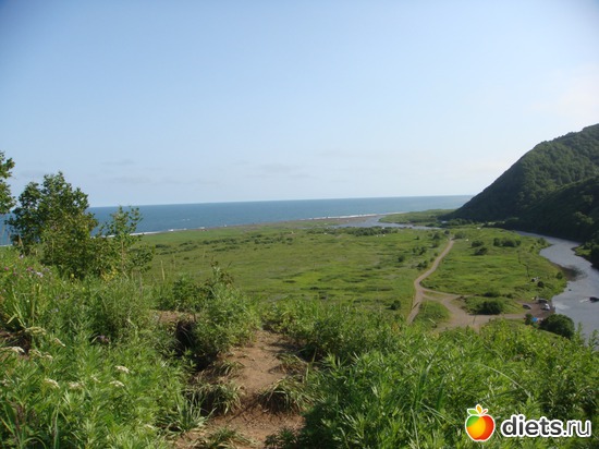 5 ����: � ������ �������� ������