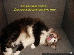 Продукты, вызывающие головную боль