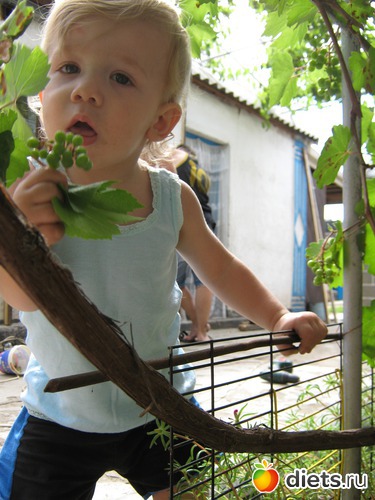 2 ����: ��� ������� �����