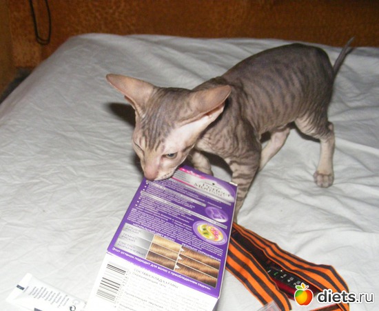 3 ����: �� ������������ �� ���, ���� ���������!