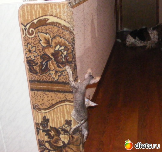 6 ����: �� ������������ �� ���, ���� ���������!