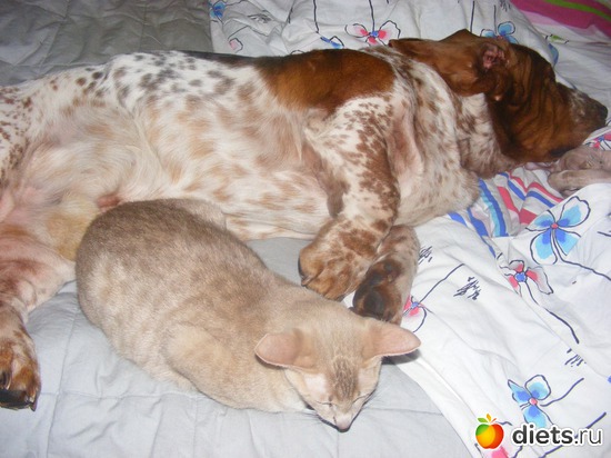 8 ����: �� ������������ �� ���, ���� ���������!