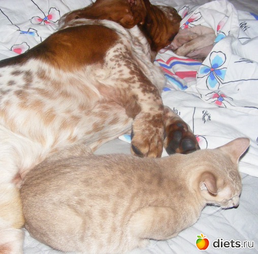 9 ����: �� ������������ �� ���, ���� ���������!