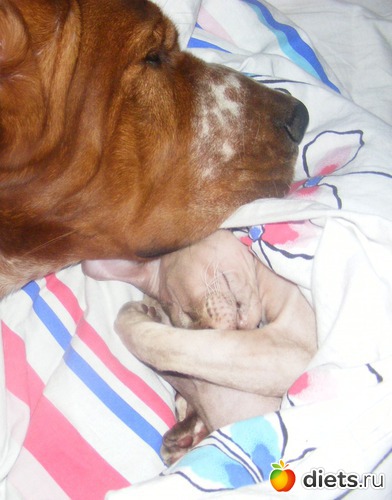 10 ����: �� ������������ �� ���, ���� ���������!