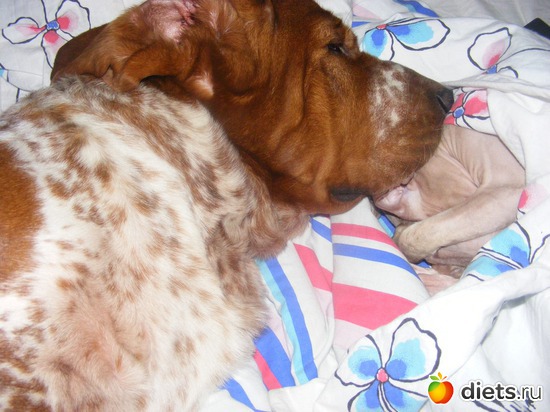 12 ����: �� ������������ �� ���, ���� ���������!