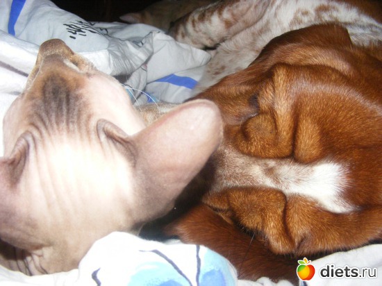 13 ����: �� ������������ �� ���, ���� ���������!