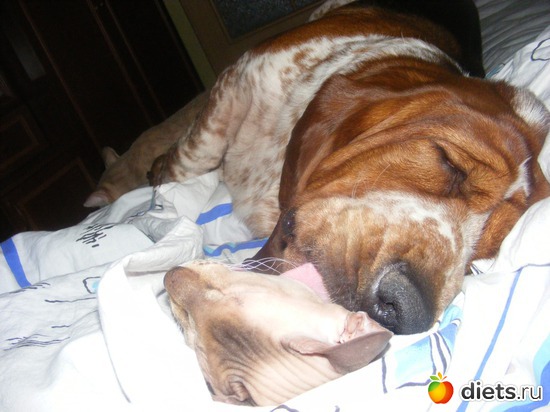 14 ����: �� ������������ �� ���, ���� ���������!