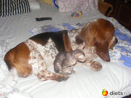 15 ����: �� ������������ �� ���, ���� ���������!