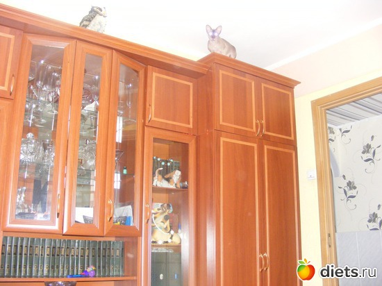 16 ����: �� ������������ �� ���, ���� ���������!