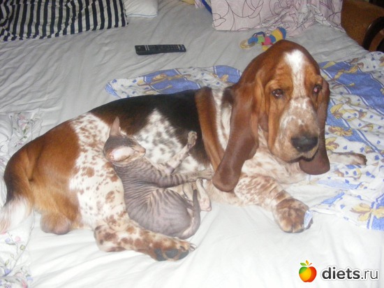 17 ����: �� ������������ �� ���, ���� ���������!