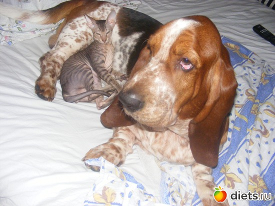 18 ����: �� ������������ �� ���, ���� ���������!