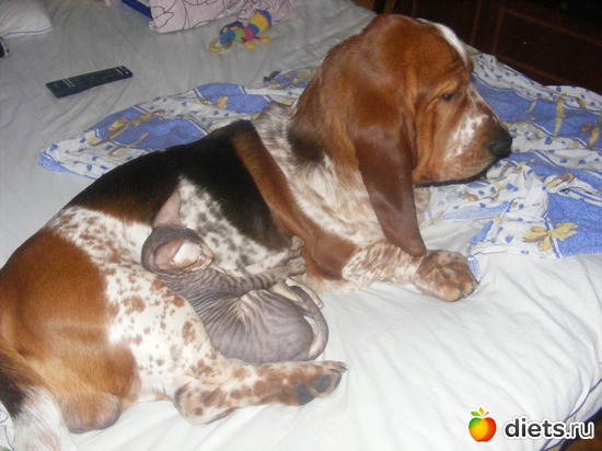 19 ����: �� ������������ �� ���, ���� ���������!