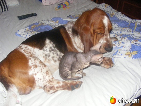 20 ����: �� ������������ �� ���, ���� ���������!