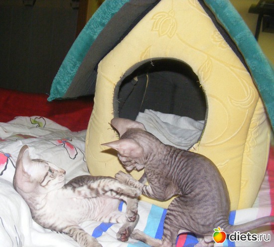 21 ����: �� ������������ �� ���, ���� ���������!