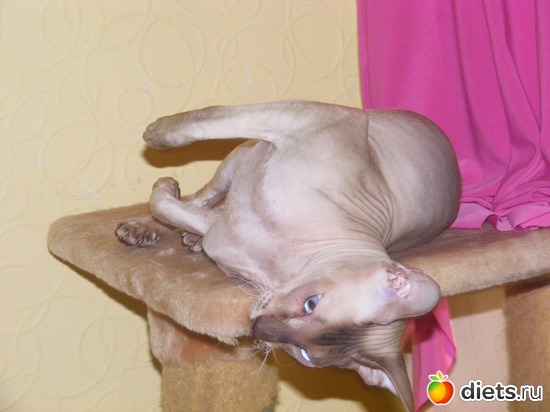 23 ����: �� ������������ �� ���, ���� ���������!