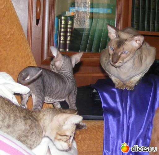 24 ����: �� ������������ �� ���, ���� ���������!