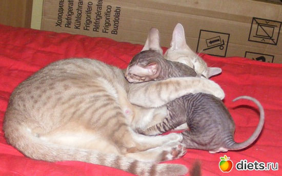 26 ����: �� ������������ �� ���, ���� ���������!