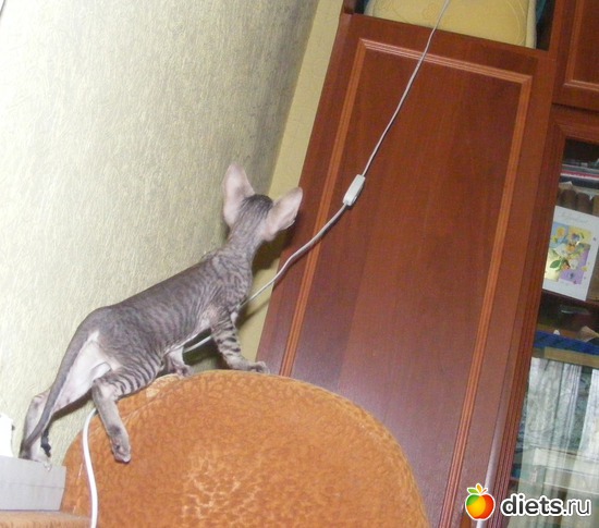 27 ����: �� ������������ �� ���, ���� ���������!