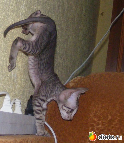 28 ����: �� ������������ �� ���, ���� ���������!