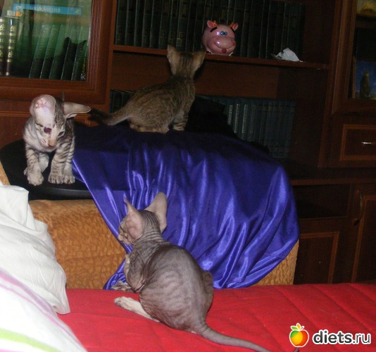 29 ����: �� ������������ �� ���, ���� ���������!