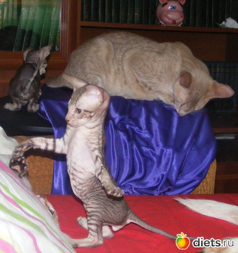 30 ����: �� ������������ �� ���, ���� ���������!