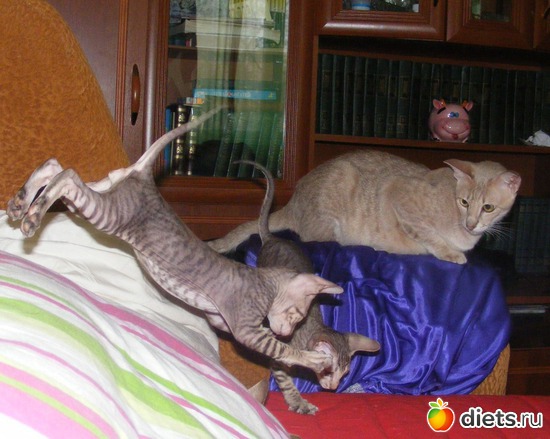 32 ����: �� ������������ �� ���, ���� ���������!