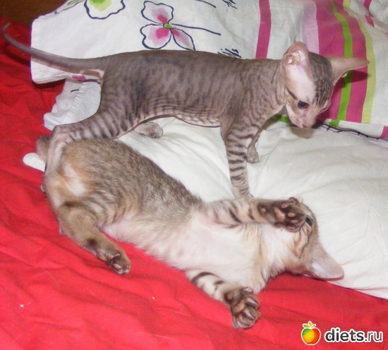 35 ����: �� ������������ �� ���, ���� ���������!