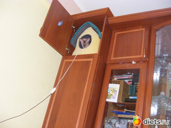 36 ����: �� ������������ �� ���, ���� ���������!