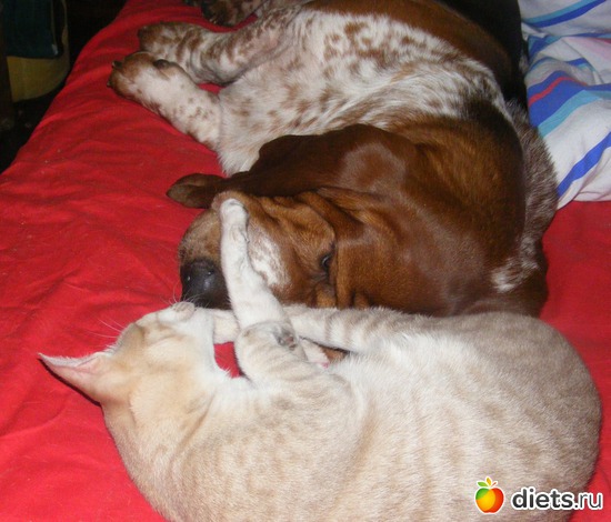 37 ����: �� ������������ �� ���, ���� ���������!