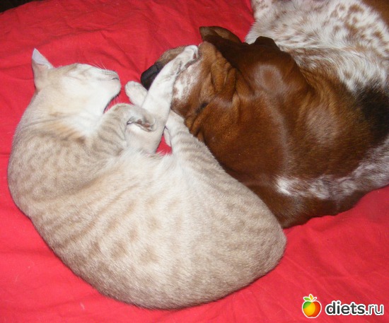 38 ����: �� ������������ �� ���, ���� ���������!