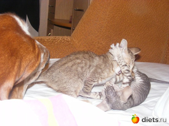 39 ����: �� ������������ �� ���, ���� ���������!