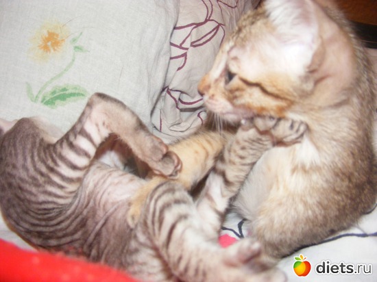 42 ����: �� ������������ �� ���, ���� ���������!