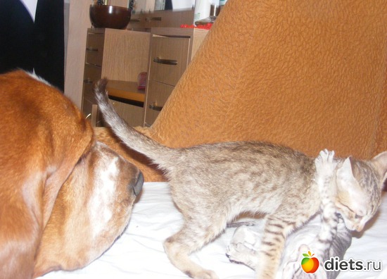 43 ����: �� ������������ �� ���, ���� ���������!