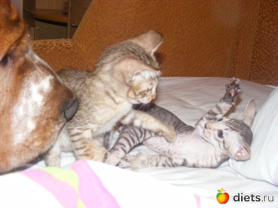 45 ����: �� ������������ �� ���, ���� ���������!