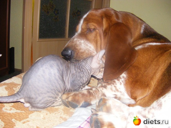 46 ����: �� ������������ �� ���, ���� ���������!