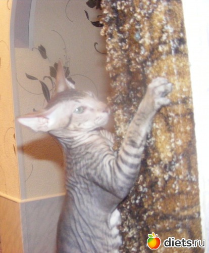 47 ����: �� ������������ �� ���, ���� ���������!