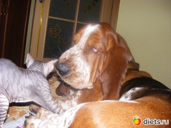 48 ����: �� ������������ �� ���, ���� ���������!