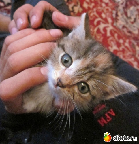 �������� �����...�� ������ ����..., ������: �������