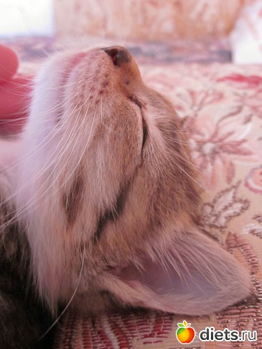 9 ����: �������