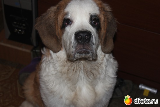 ������� 7 ���.., ������: ��� ���������