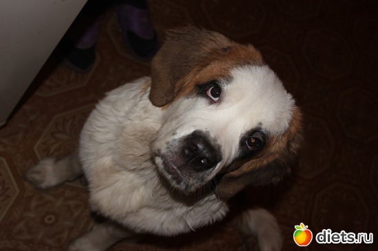 ����., ������: ��� ���������