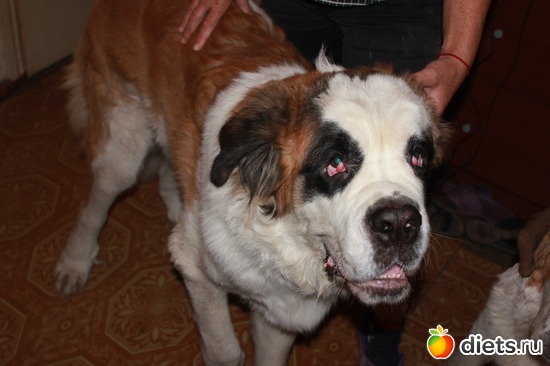 ����., ������: ��� ���������