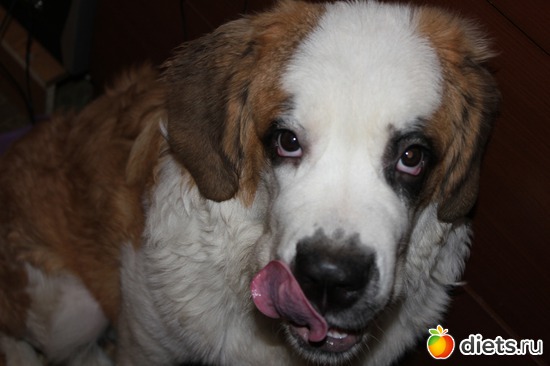 ������., ������: ��� ���������