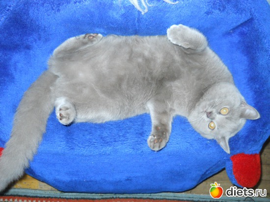 2 фото: Ника