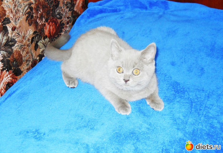 4 фото: Ника