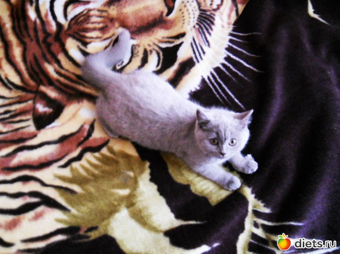 5 фото: Ника