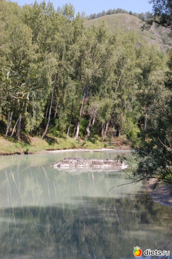 11 ����: ����� 2011