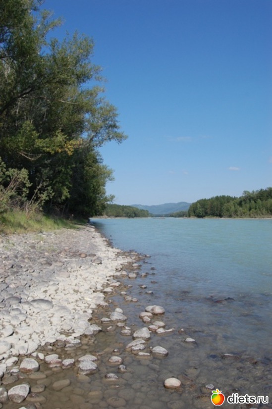 12 ����: ����� 2011